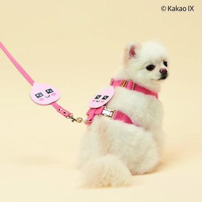 Dog webbing leash (Pink/Blue)
