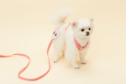 Dog webbing leash (Pink/Blue)